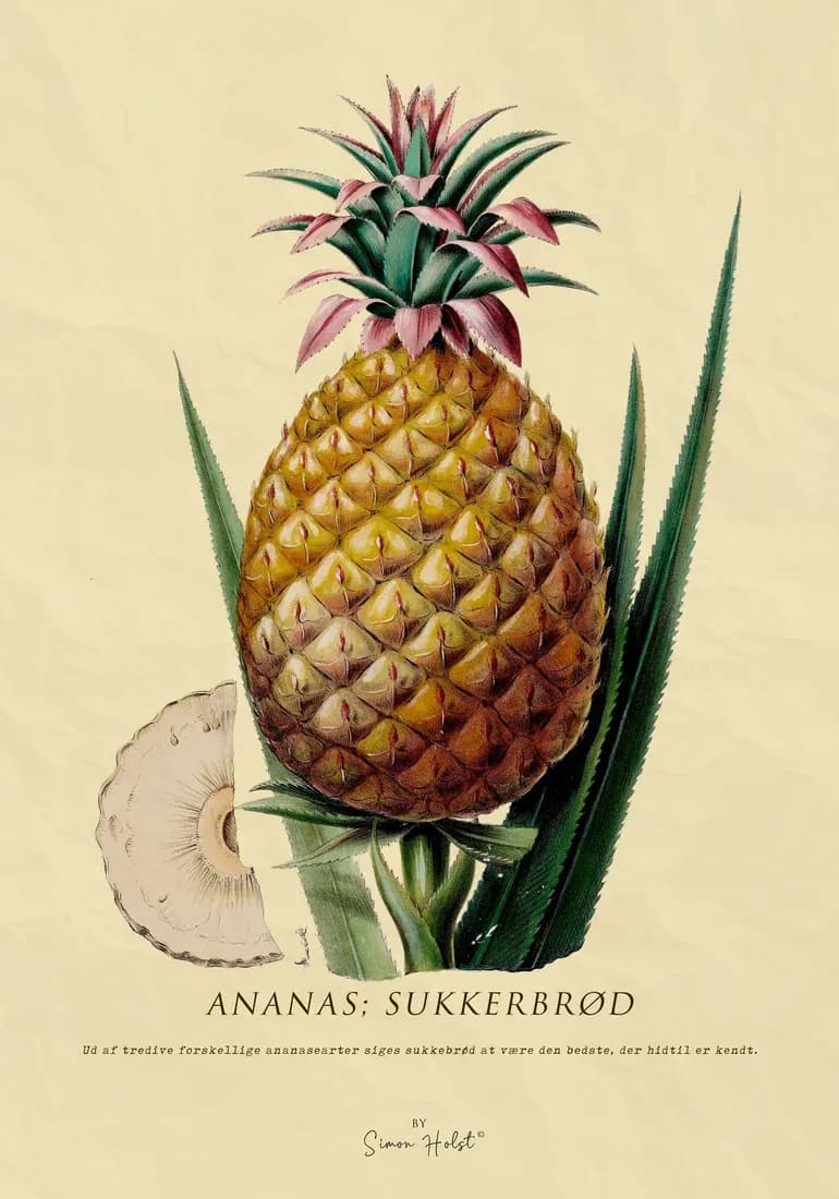 Ananas — view 1