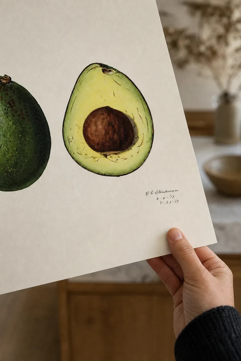 Avocado Persea — view 3