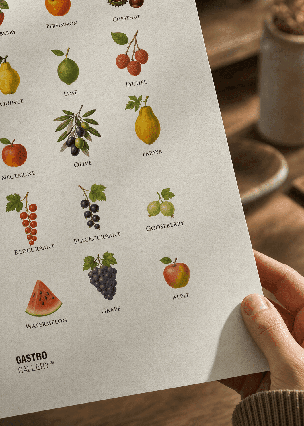 Fruits of the World — view 3
