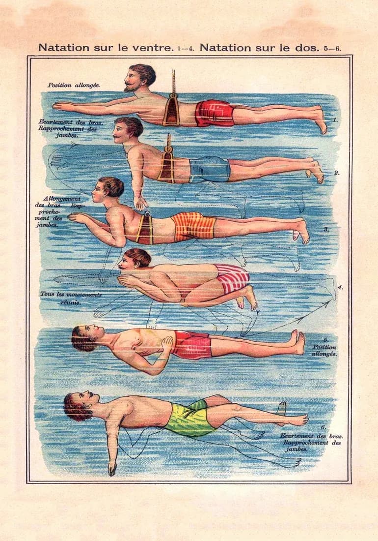 Natation sur le ventre — view 1
