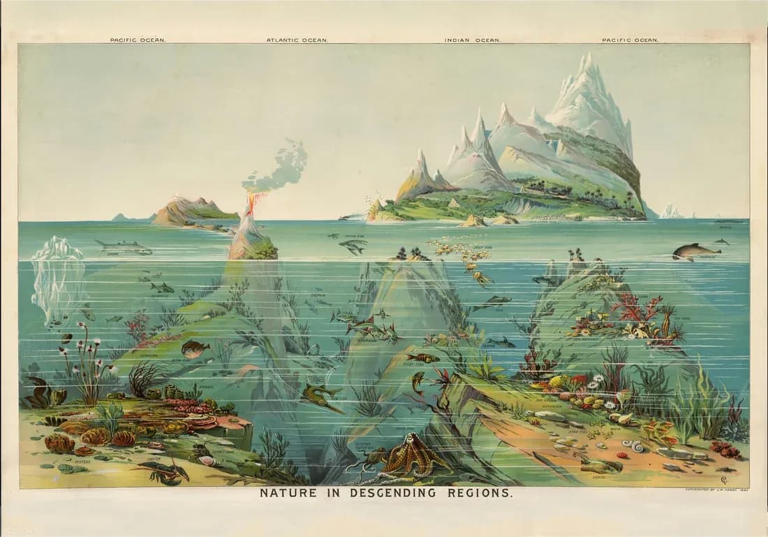 Nature in descending regions — view 1