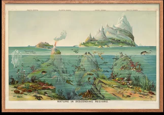 Nature in descending regions