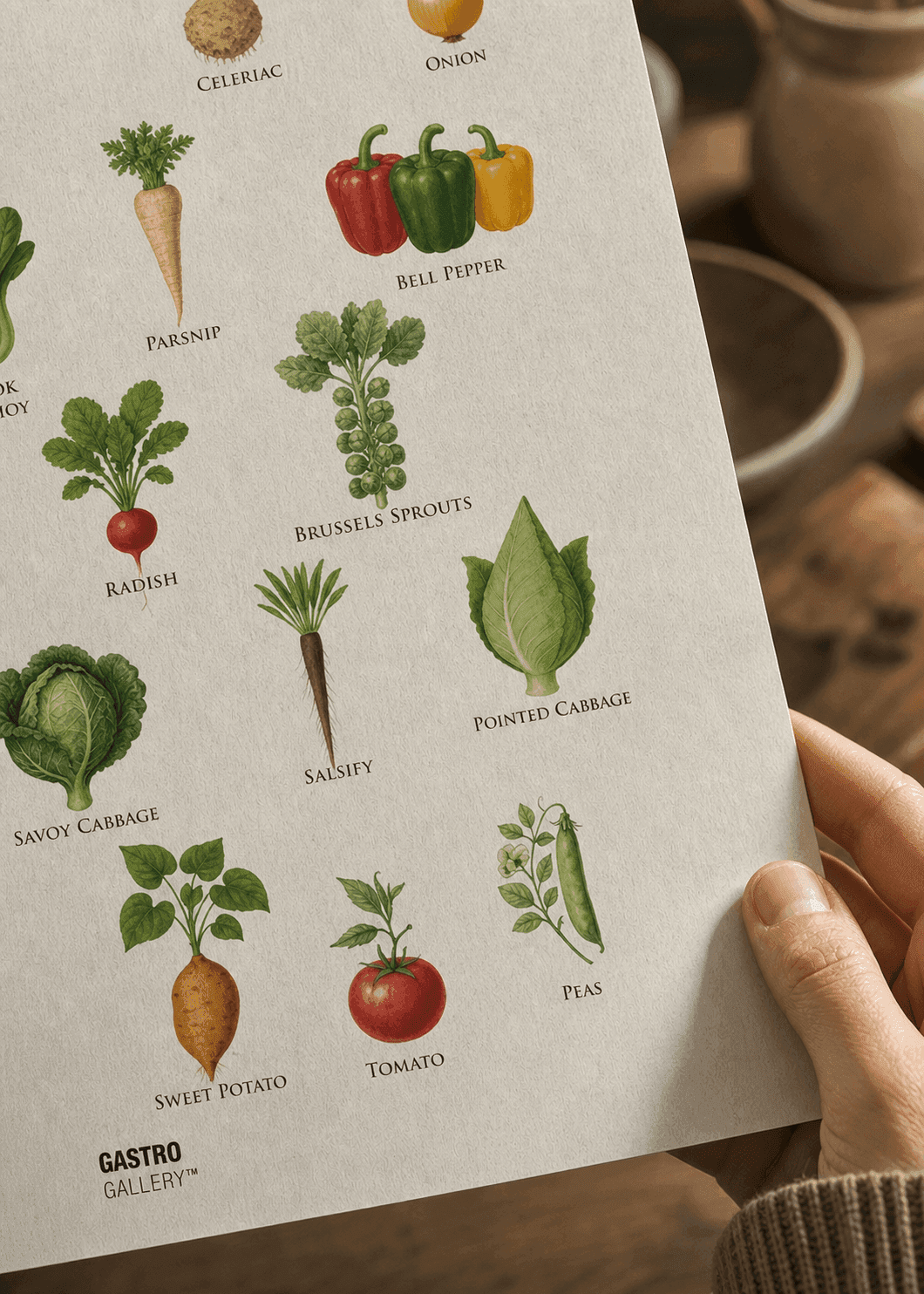 Vegetables of the World — view 3