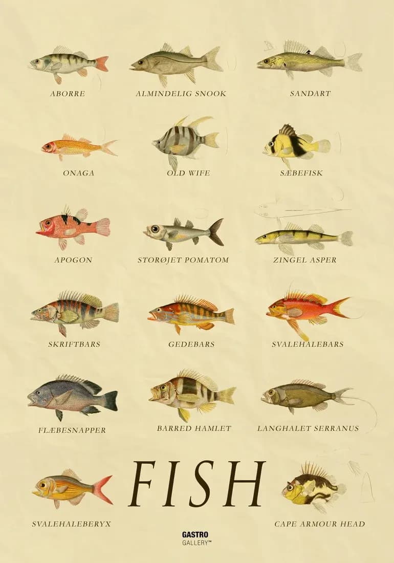 Fish